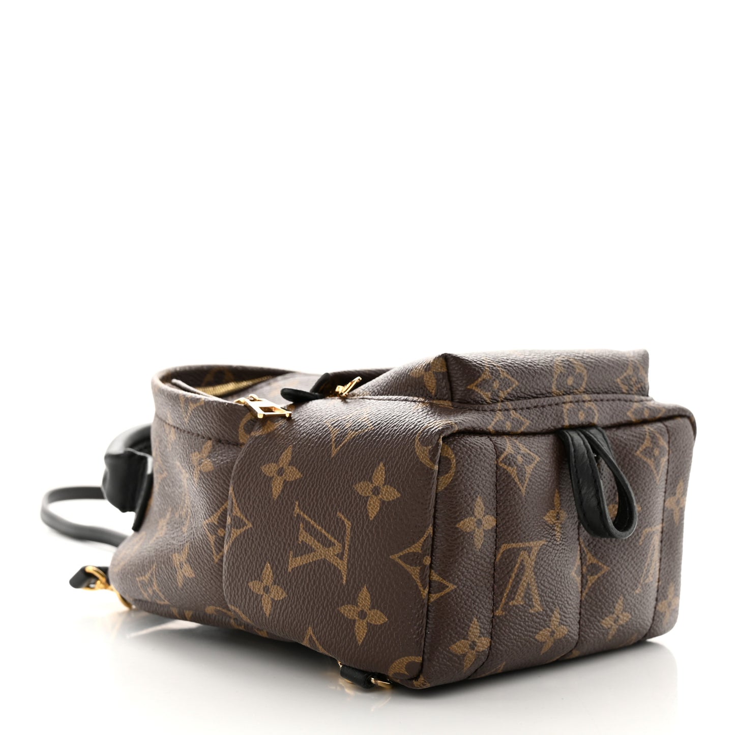 Monogram Palm Springs Backpack Mini