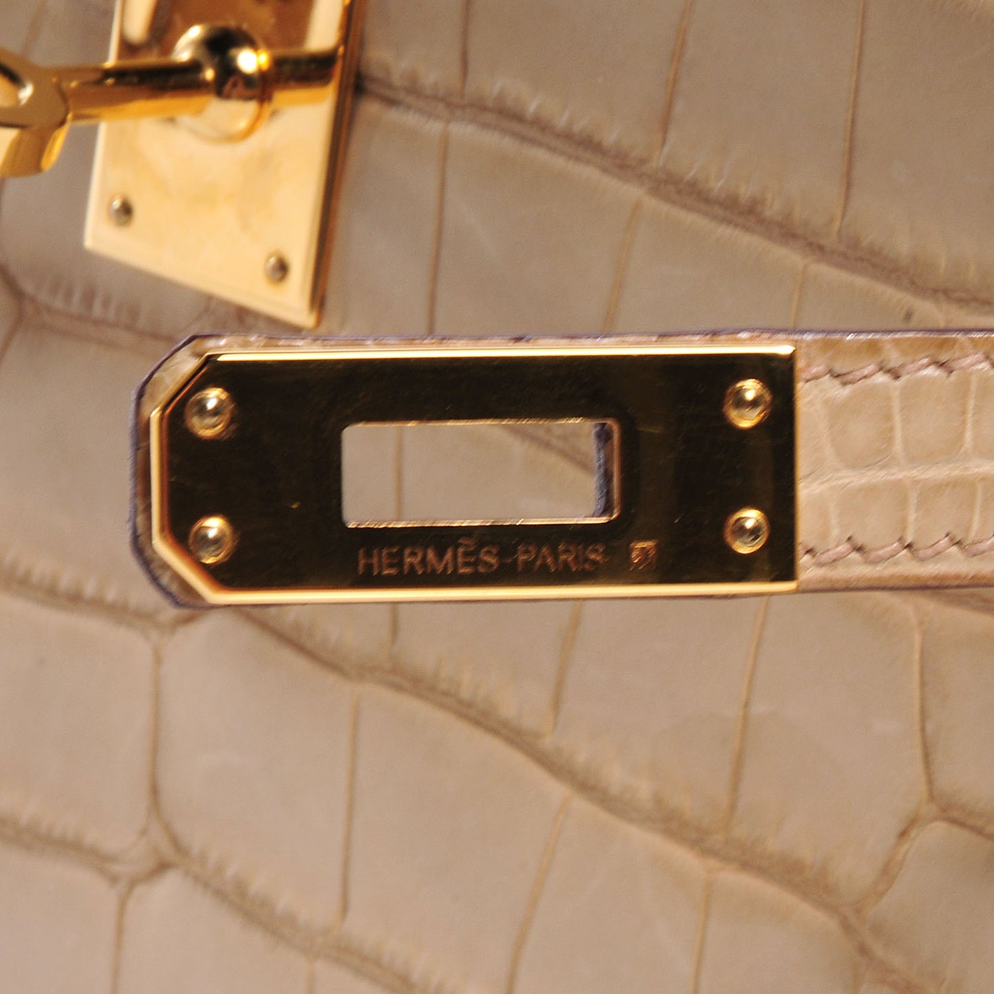 Matte Alligator Kelly Pochette Poussiere
