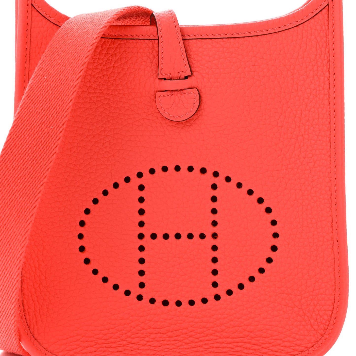 Taurillon Clemence Evelyne TPM Rose Texas Rose Jaipur