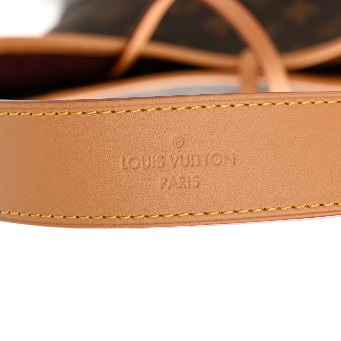 LOUIS VUITTON Monogram CarryAll PM