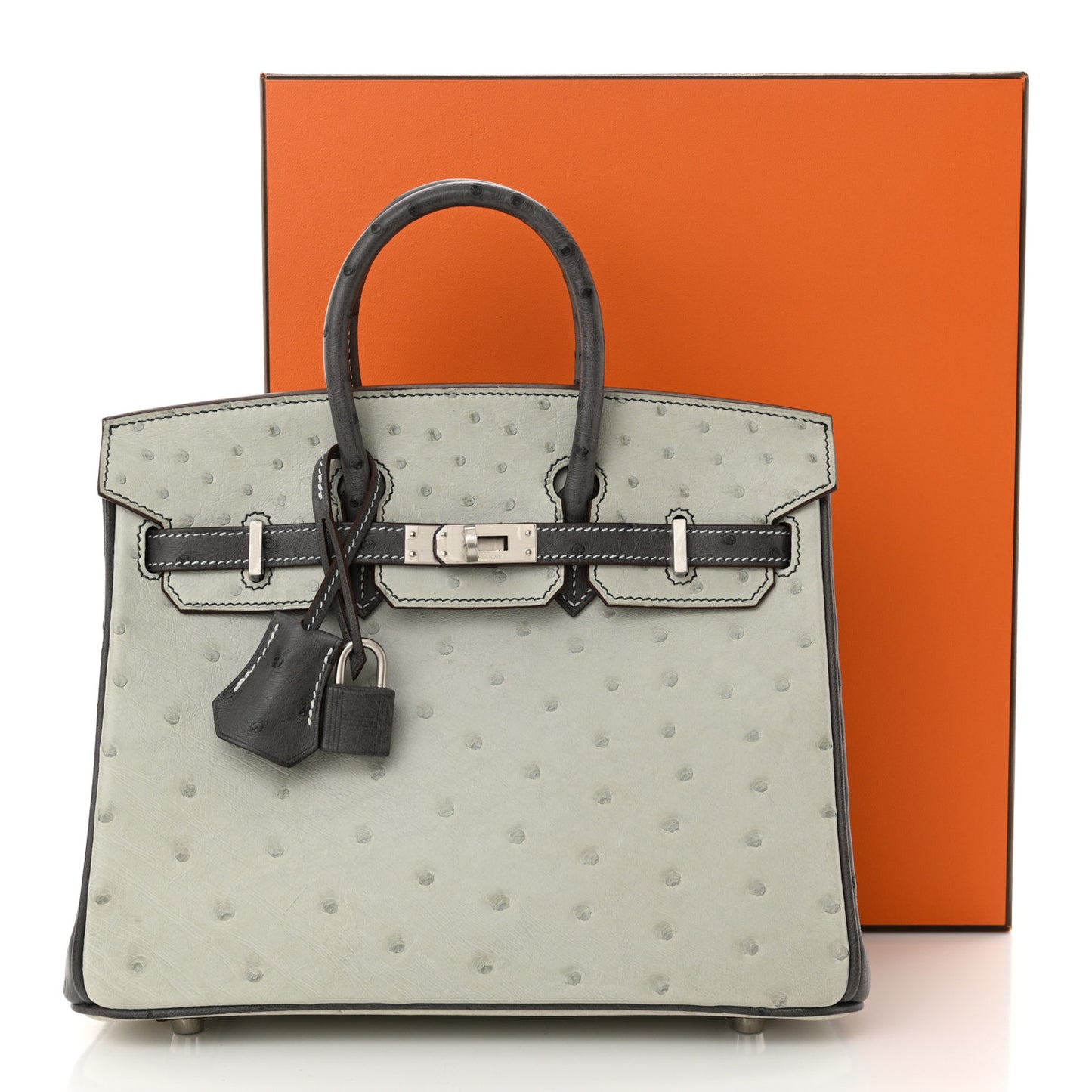 Ostrich Horseshoe Birkin 25 Gris Perle Gris Meyer