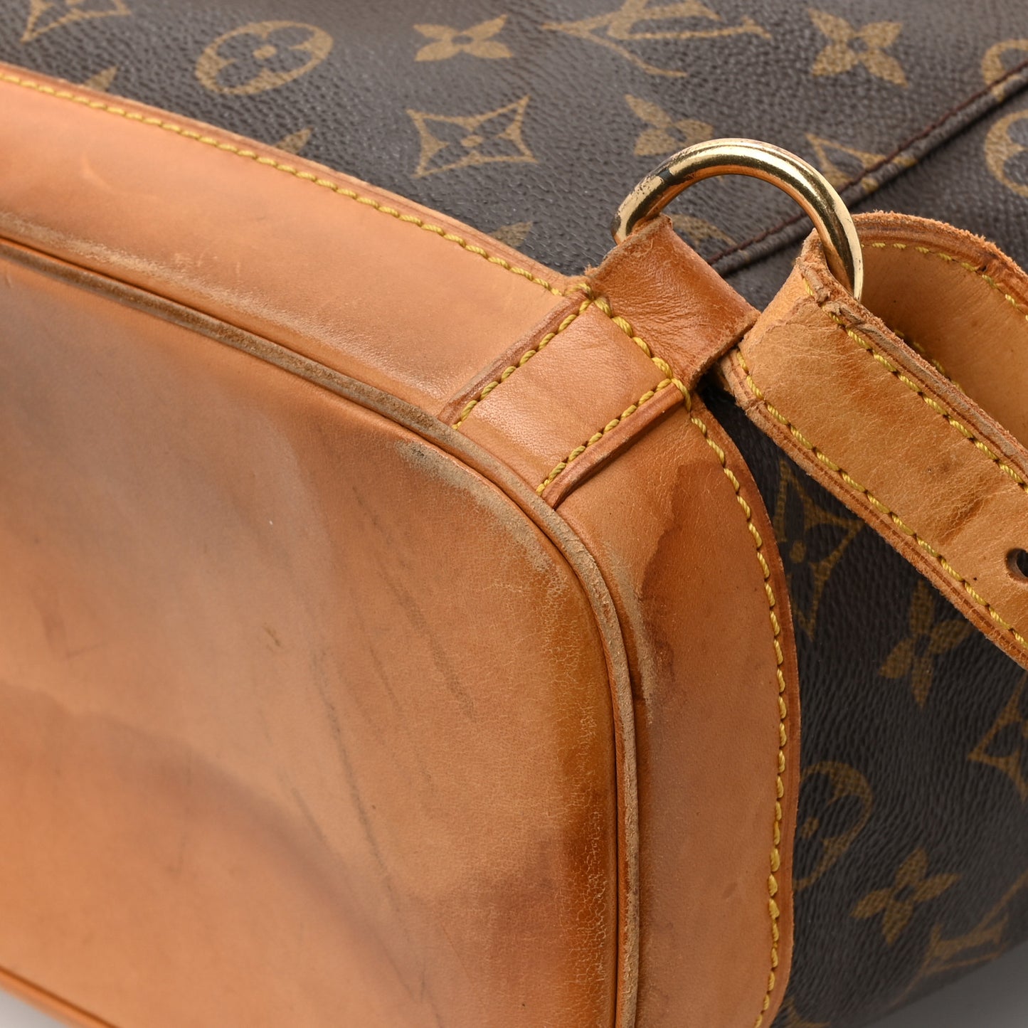 Monogram Montsouris GM Backpack