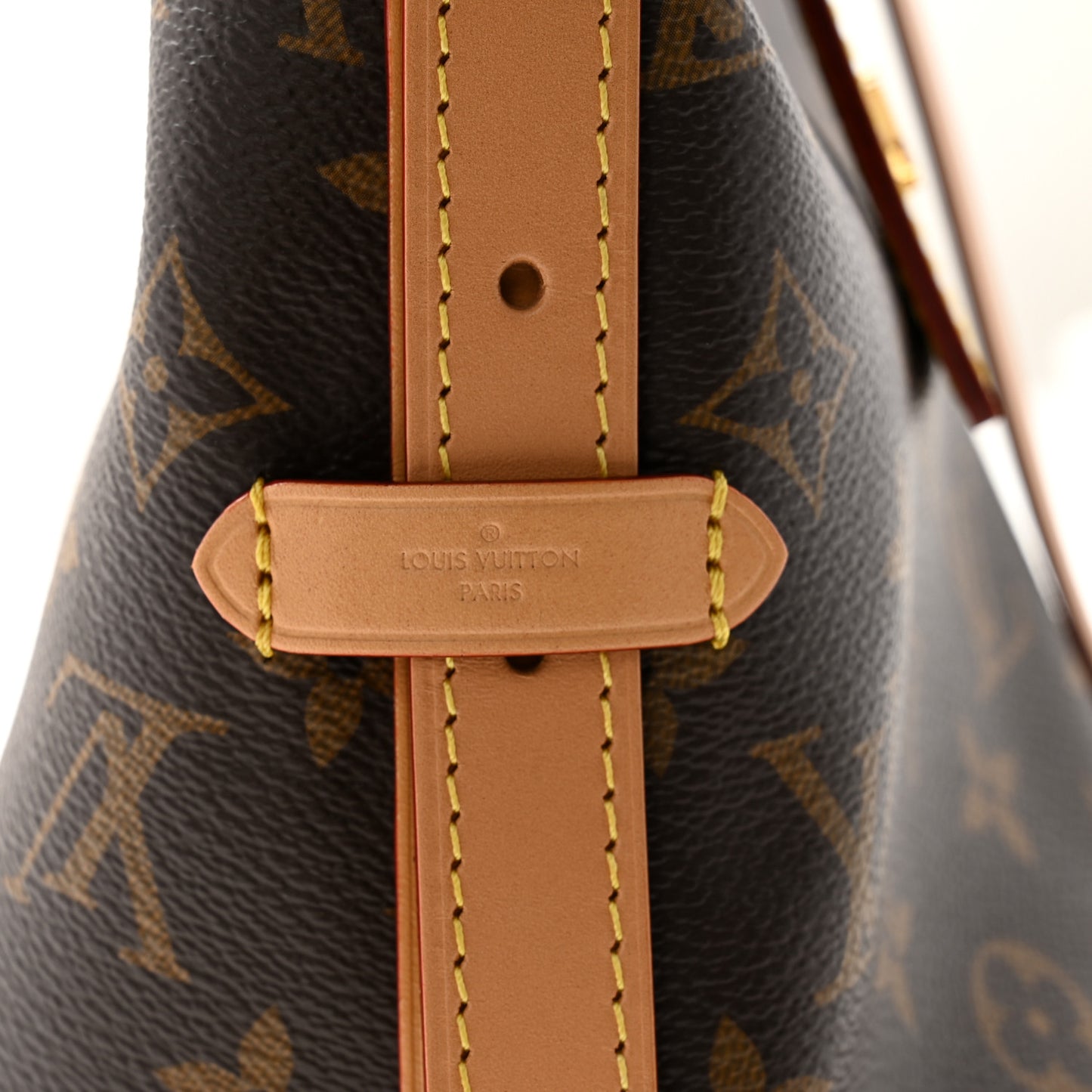 Monogram CarryAll PM