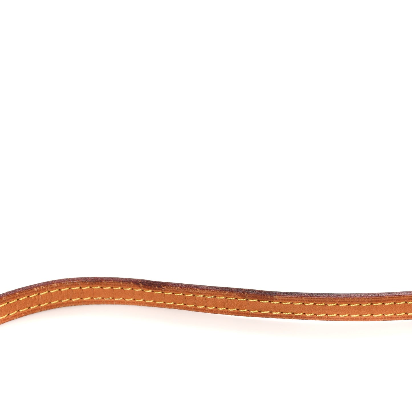 Monogram Nano Speedy