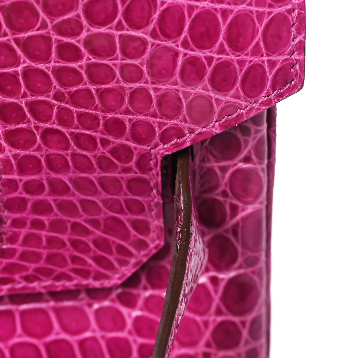 Shiny Porosus Crocodile Birkin 35 Rose Scheherazade