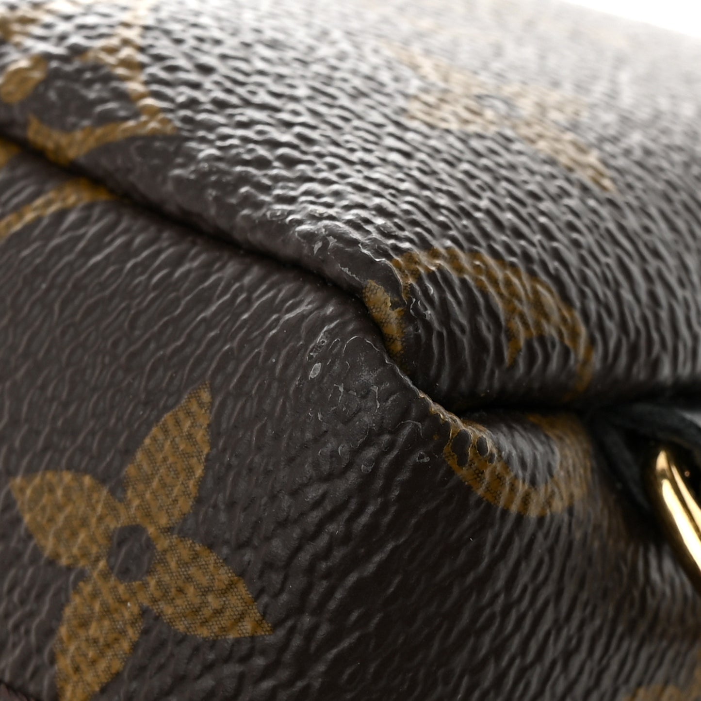 Monogram Palm Springs Backpack Mini