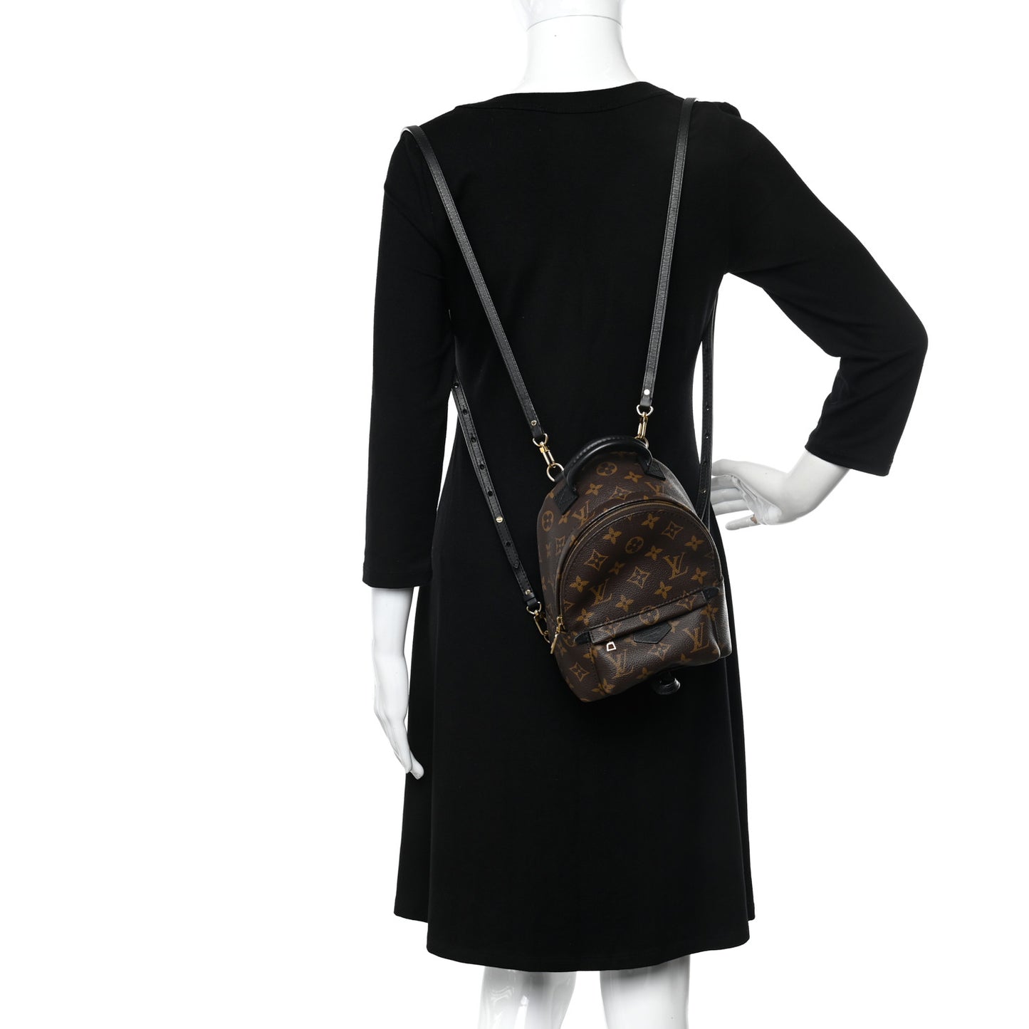 Monogram Palm Springs Backpack Mini