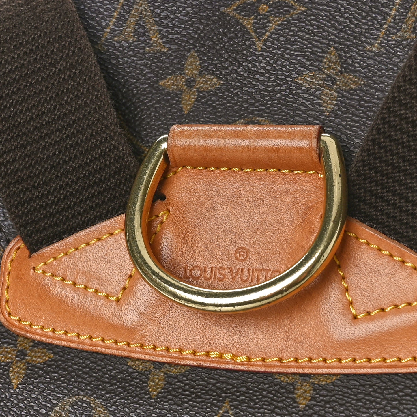 Monogram Montsouris GM Backpack