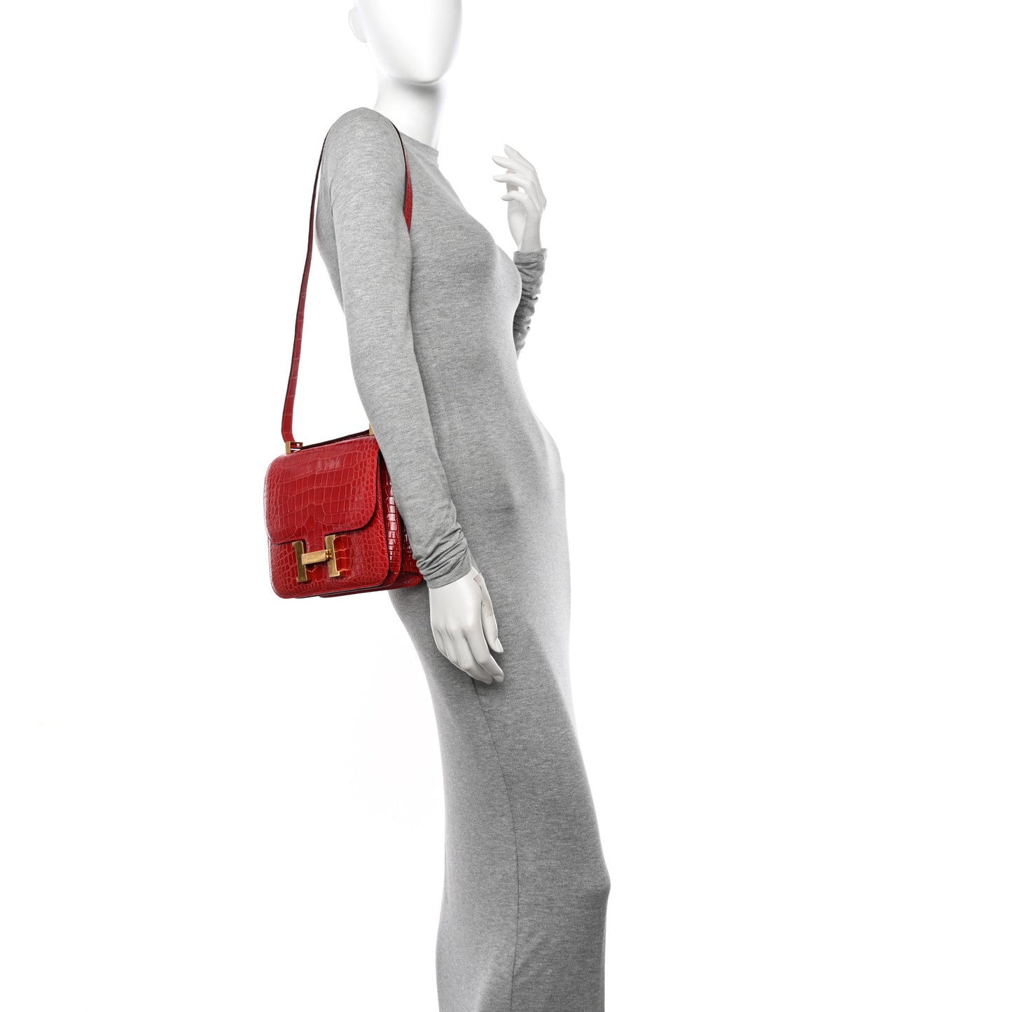 Shiny Alligator Constance 24 Braise