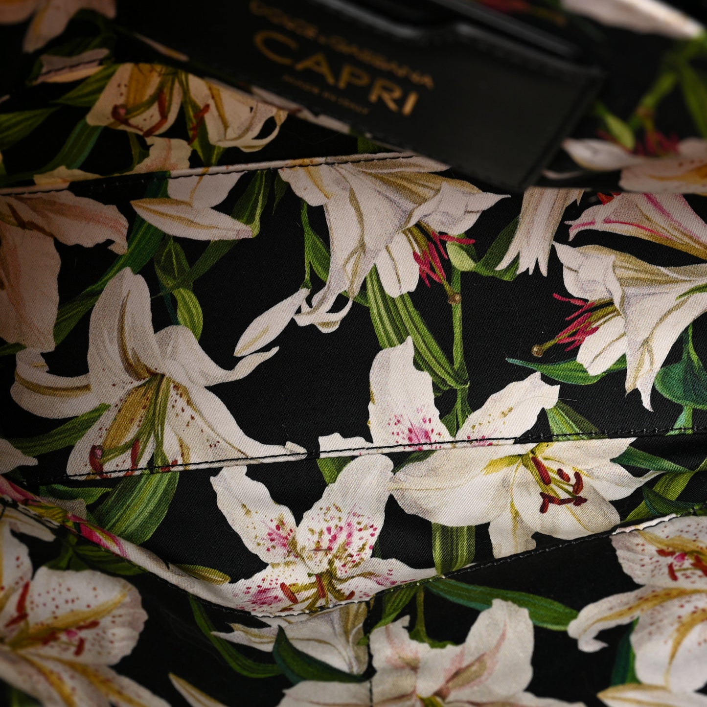 Canvas Lily Printed Iguana Capri Tote Black Multicolor