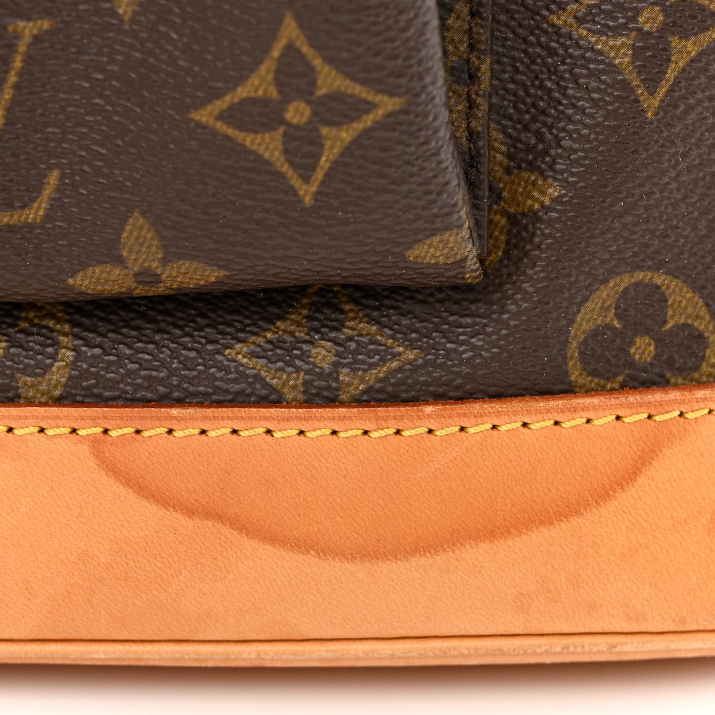 Monogram Montsouris GM Backpack