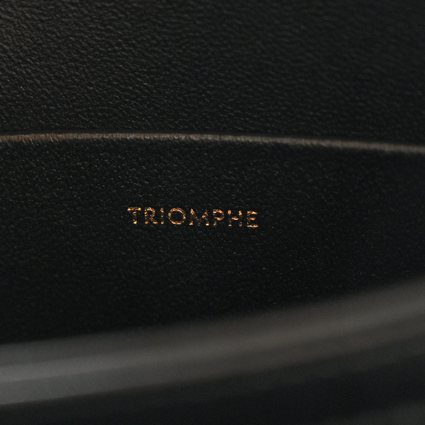 Shiny Calfskin Teen Triomphe Black