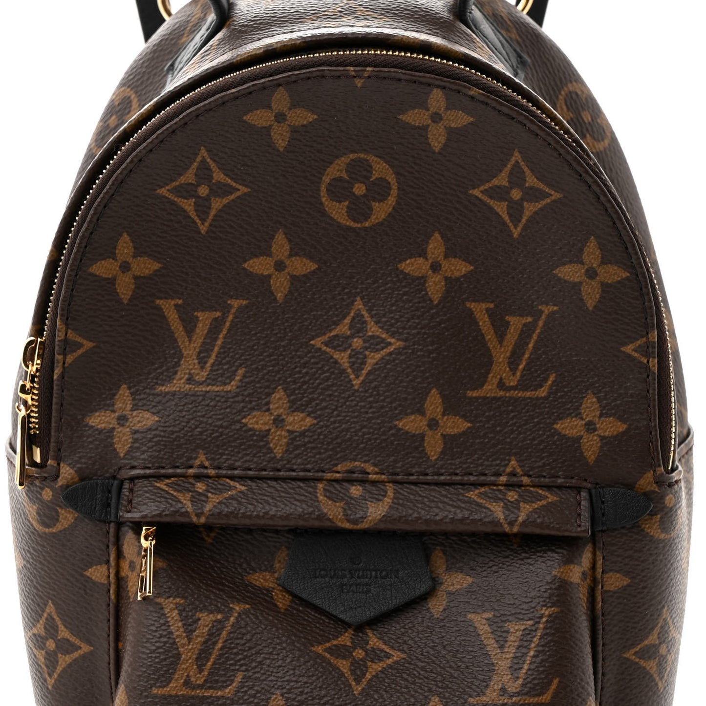 Monogram Palm Springs Backpack Mini