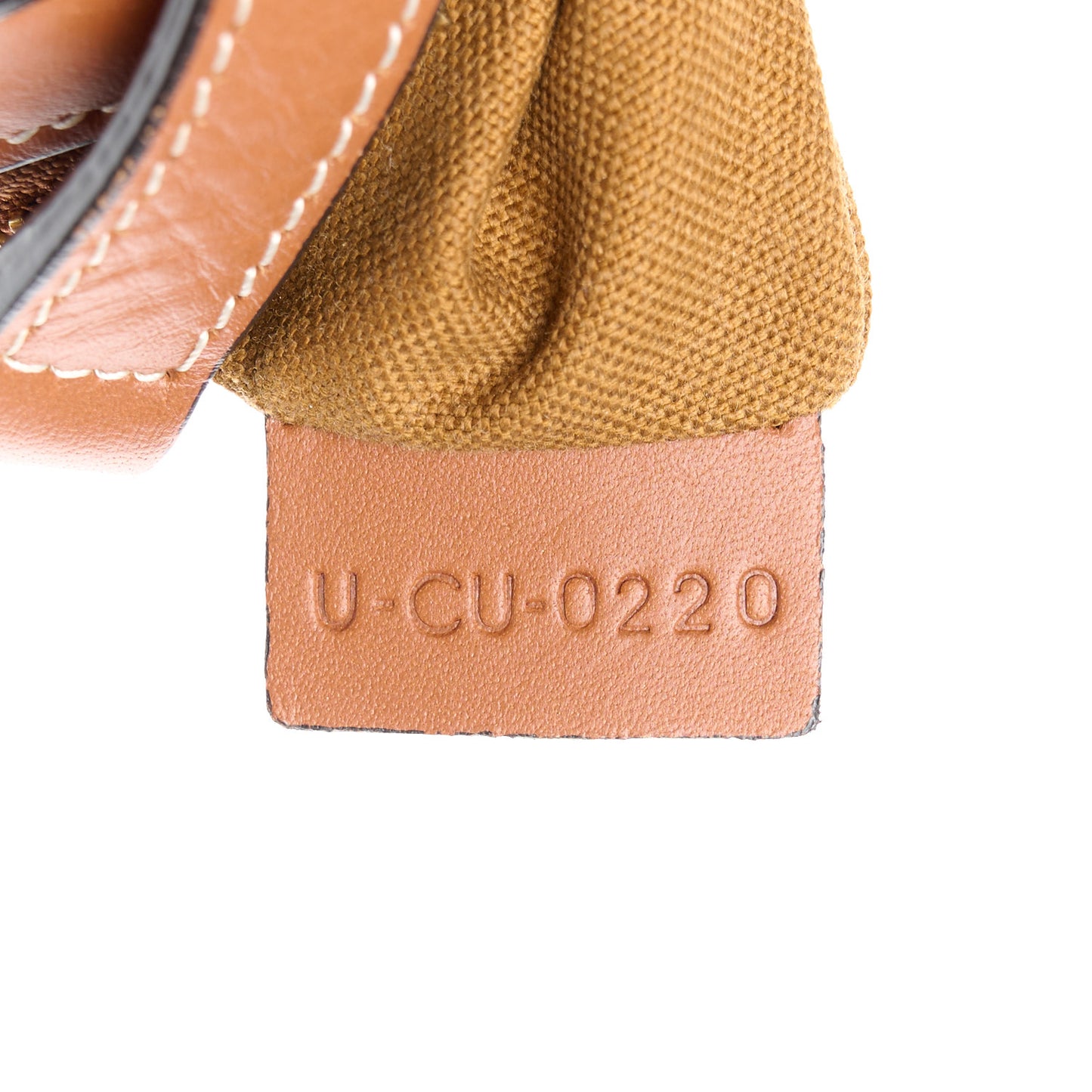 Triomphe Canvas Small Camera Bag Tan
