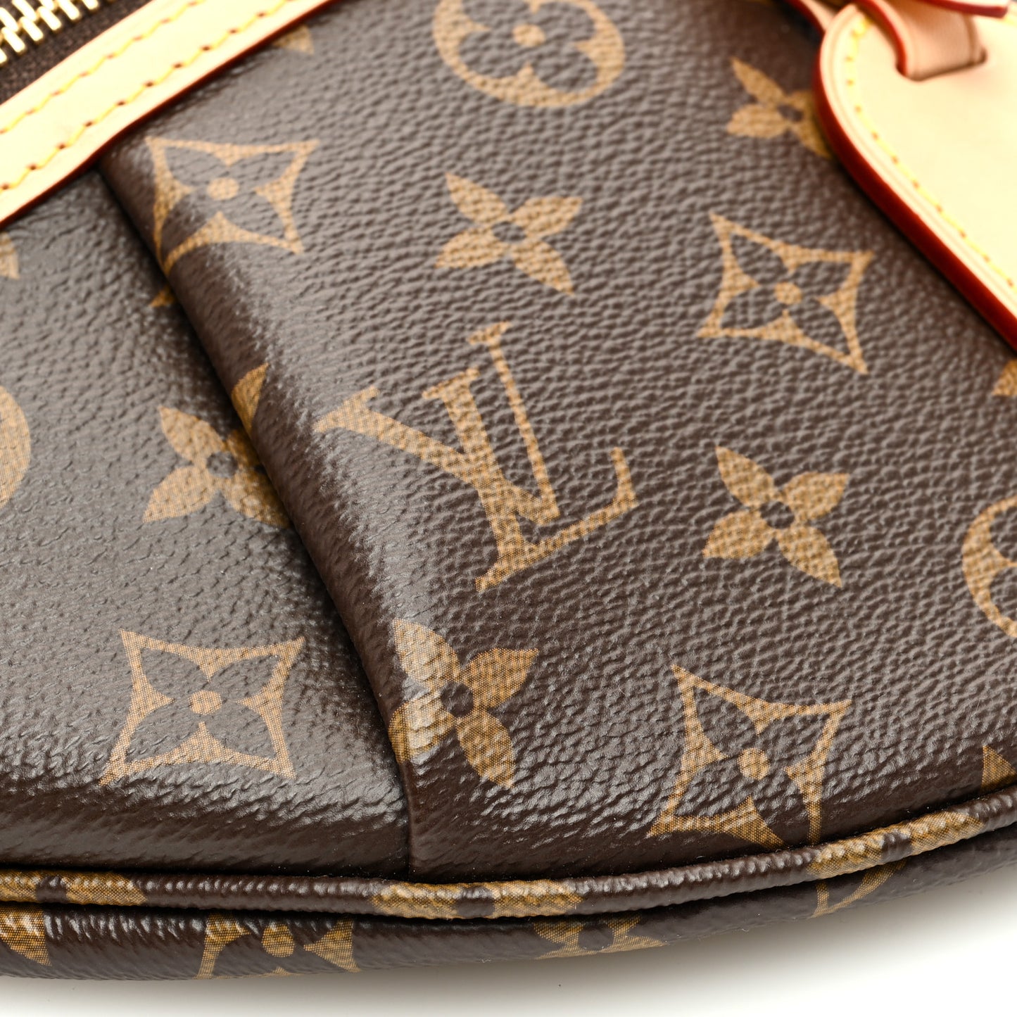 Monogram High Rise Bumbag