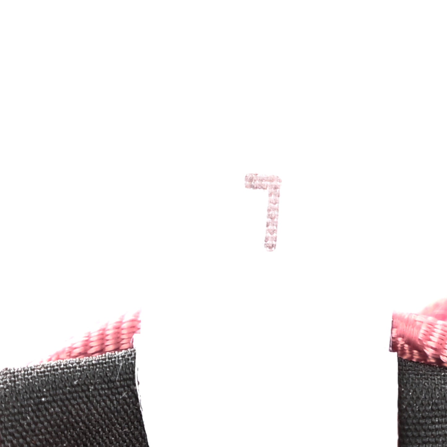 Tessuto Nylon Mini Re-Edition 2000 Bag Begonia