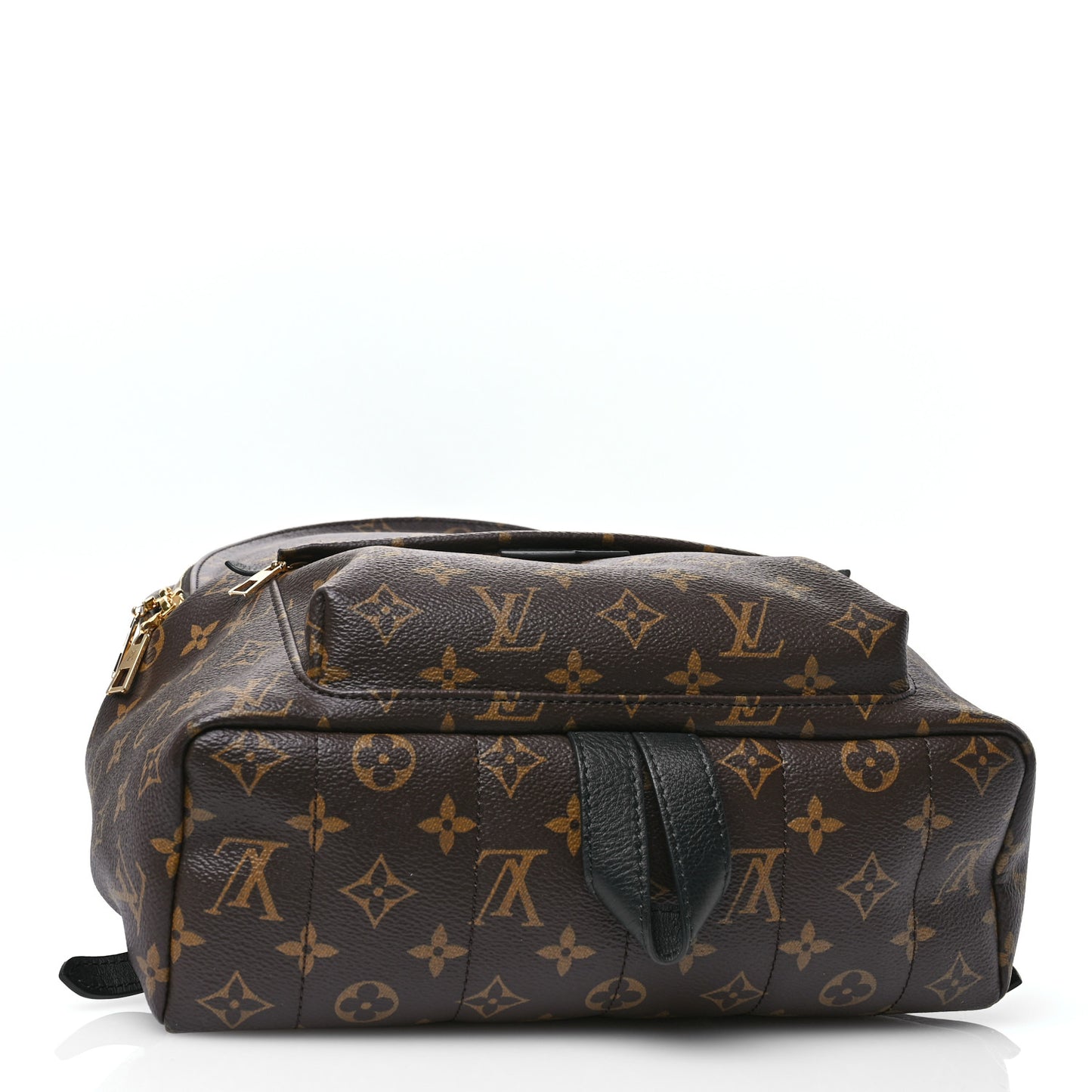 Monogram Palm Springs Backpack MM