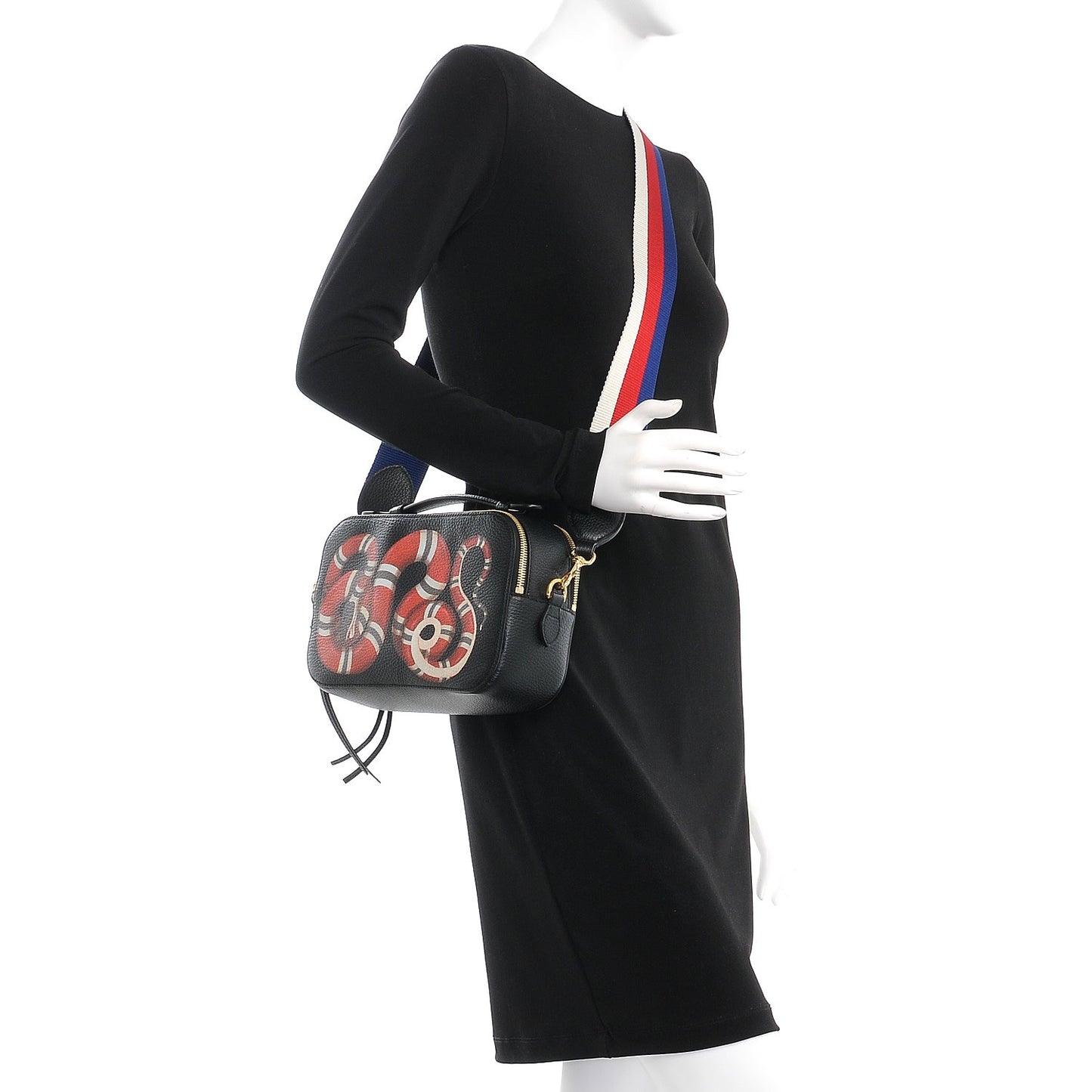 Grained Calfskin Sylvie Web Kingsnake Small Camera Bag Black Multicolor