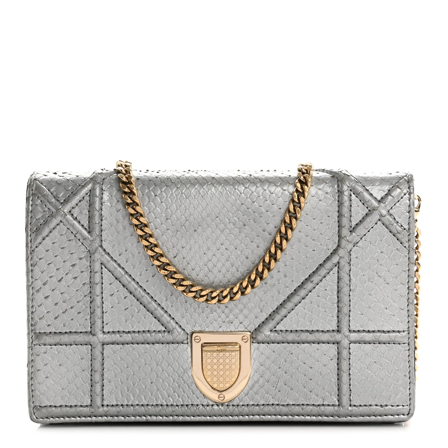Snakeskin Diorama Wallet on Chain Pouch Silver