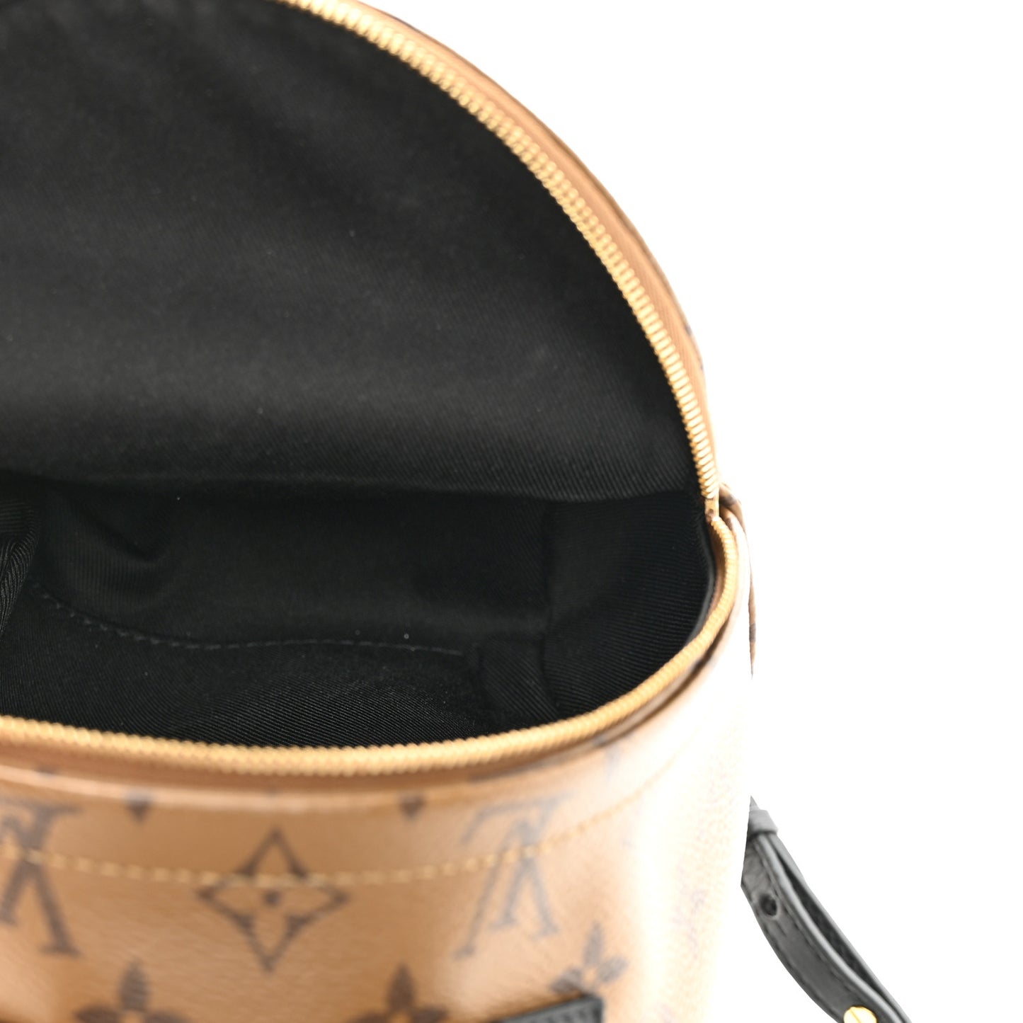 Reverse Monogram Palm Springs Backpack Mini