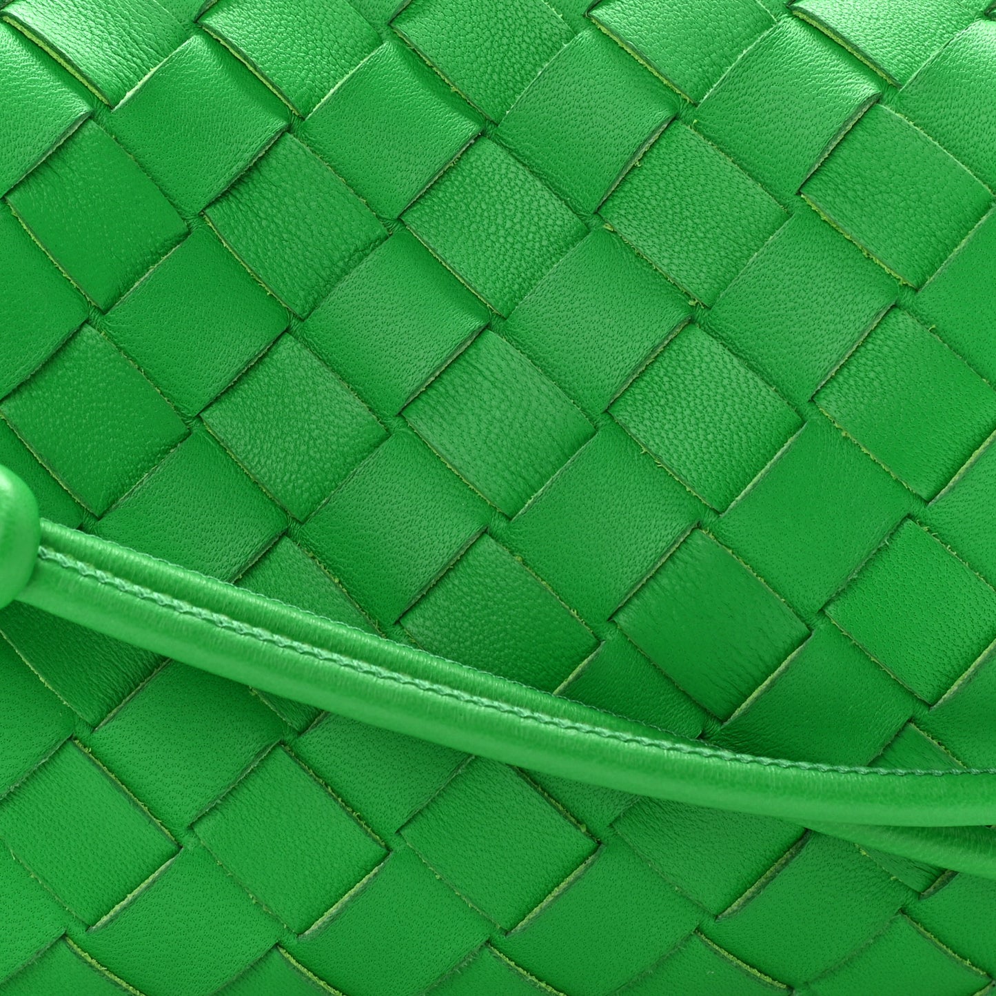 Nappa Intrecciato Mini Loop Camera Bag Parakeet