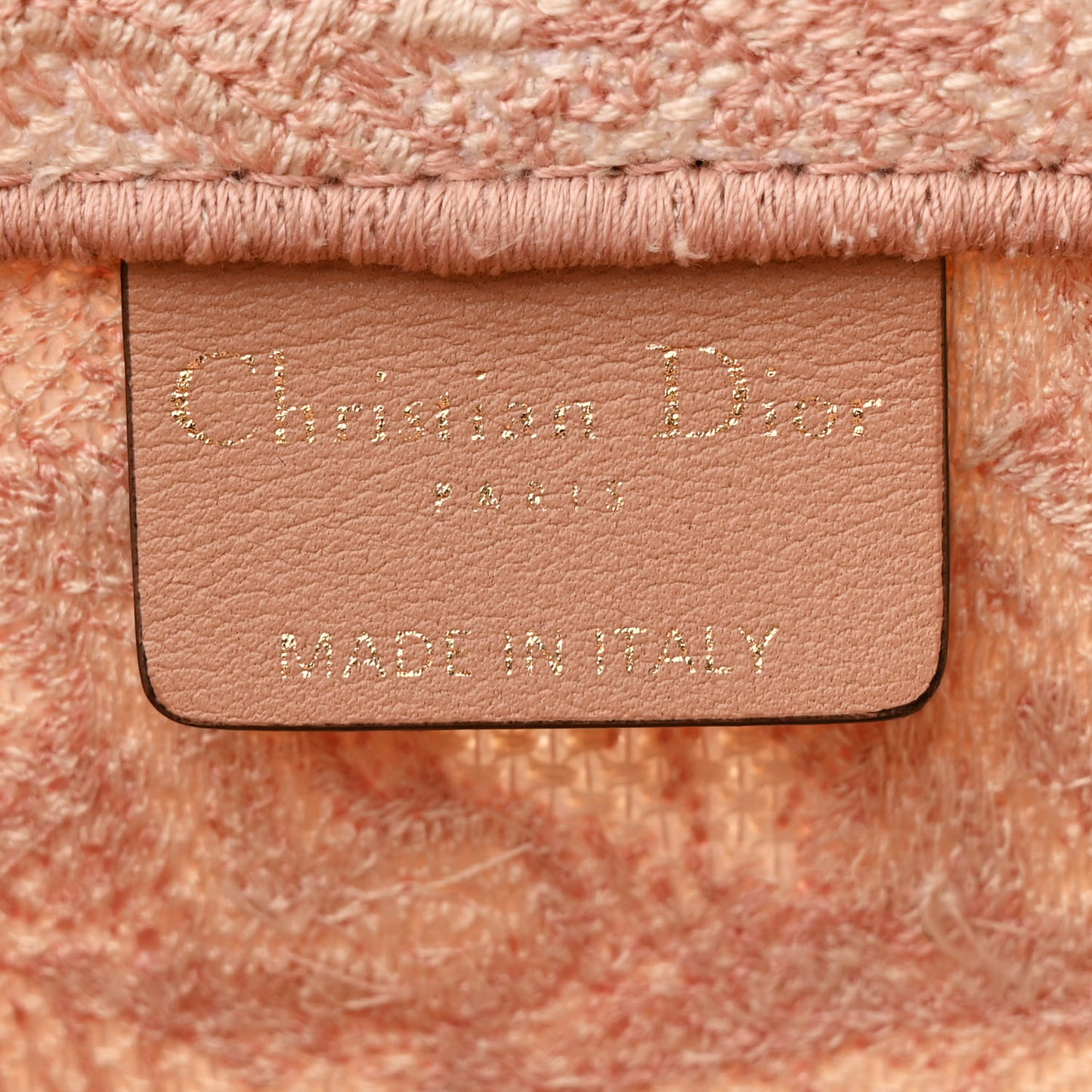 Canvas Embroidered Medium Dioriviera Toile De Jouy Book Tote Rose