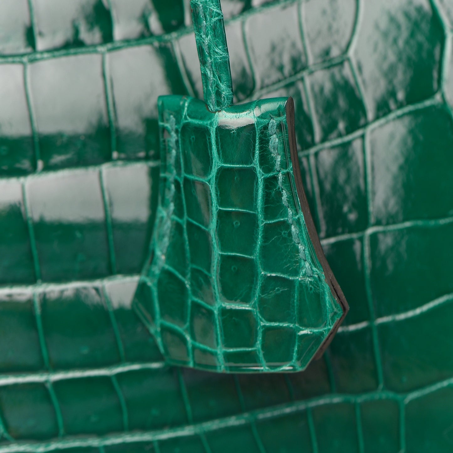 Shiny Niloticus Crocodile Horseshoe Birkin 30 Vert Emeraude Black