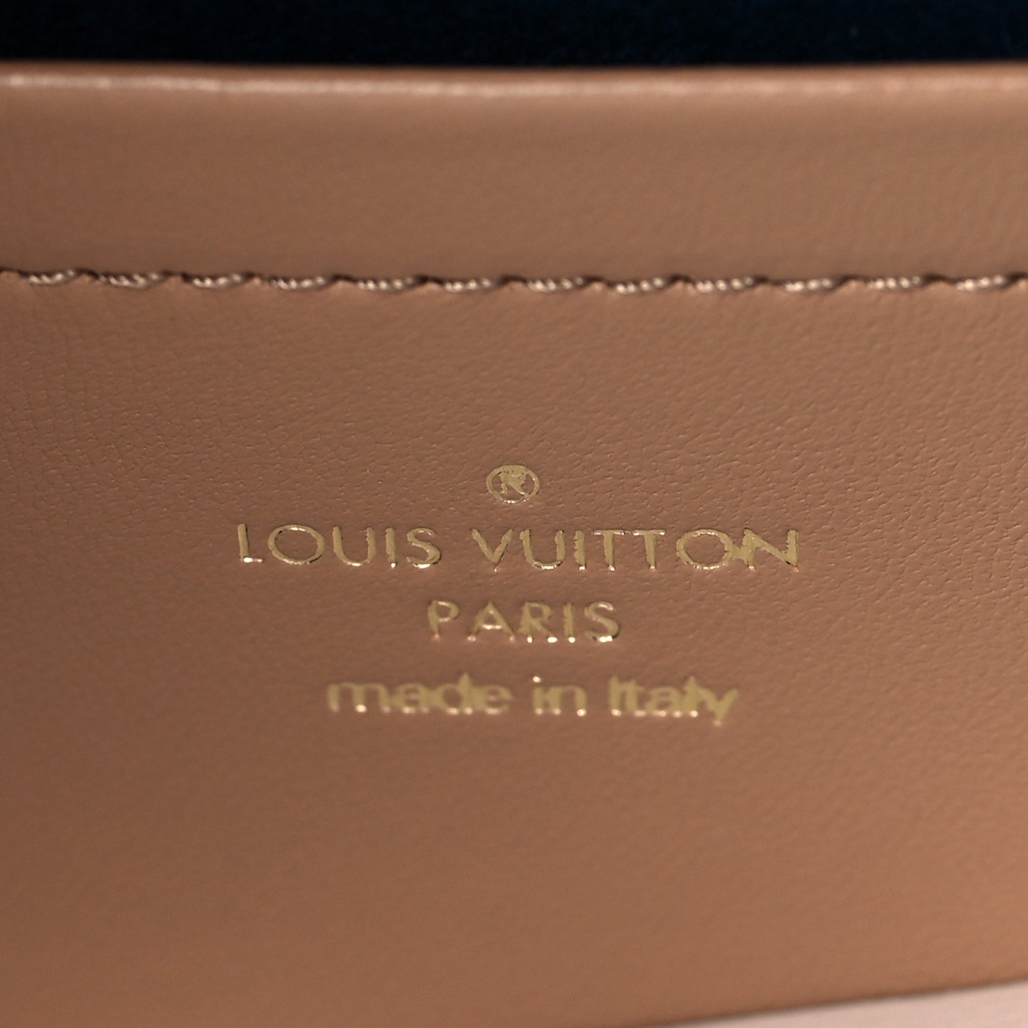 Lambskin Embossed Monogram Pochette Coussin Camel