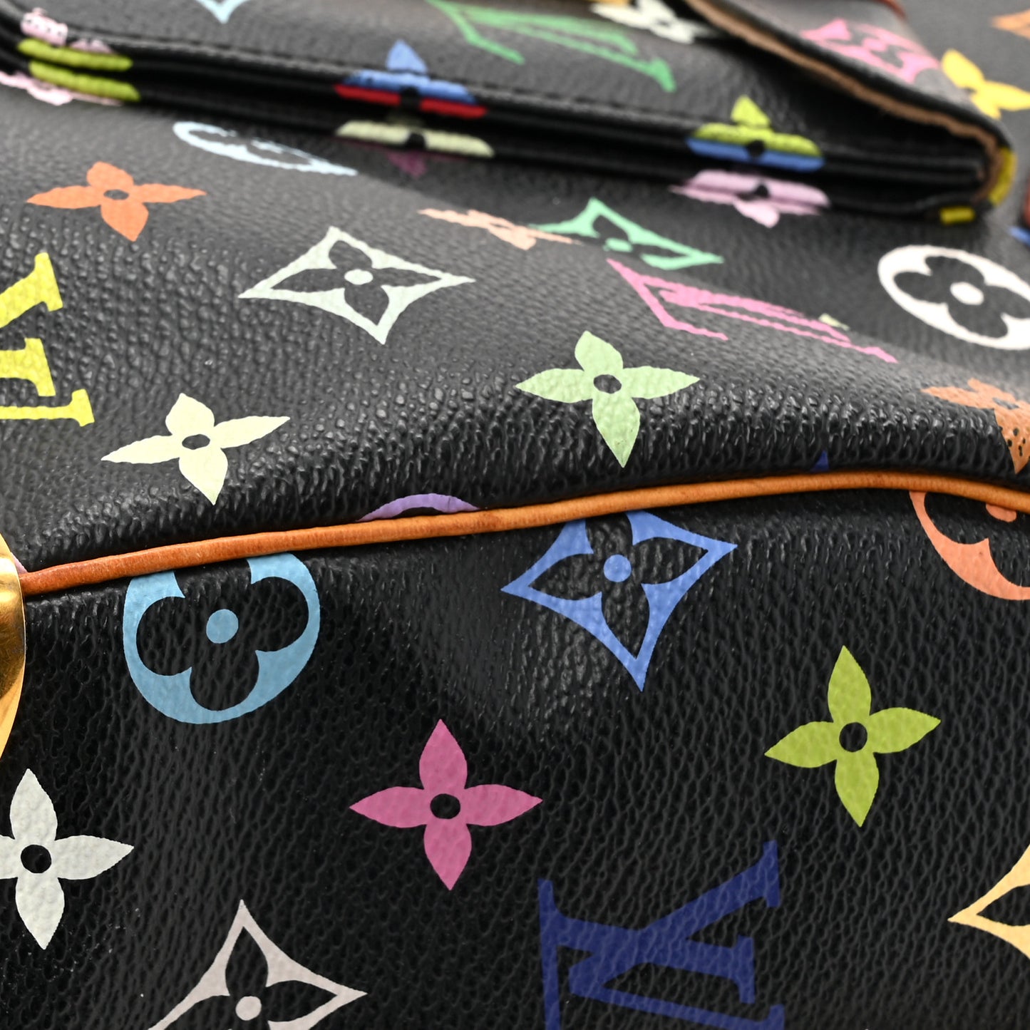 Monogram Multicolor Speedy 30 Black