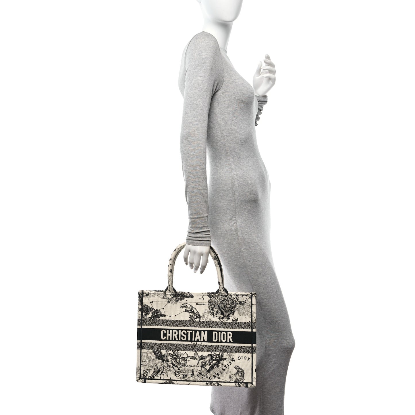 Canvas Zodiac Toile De Jouy Embroidered Medium Book Tote Latte