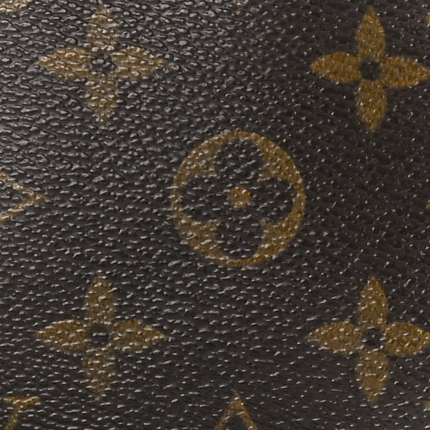 Monogram Pochette Marly Dragonne 22