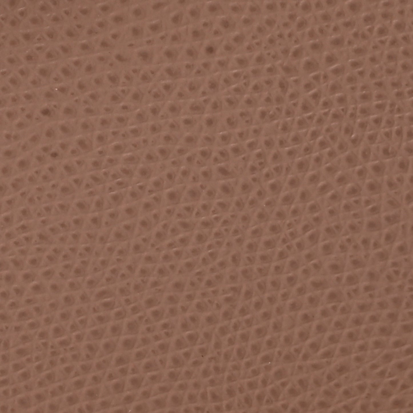 Grained Calfskin Saddle Bag Fard