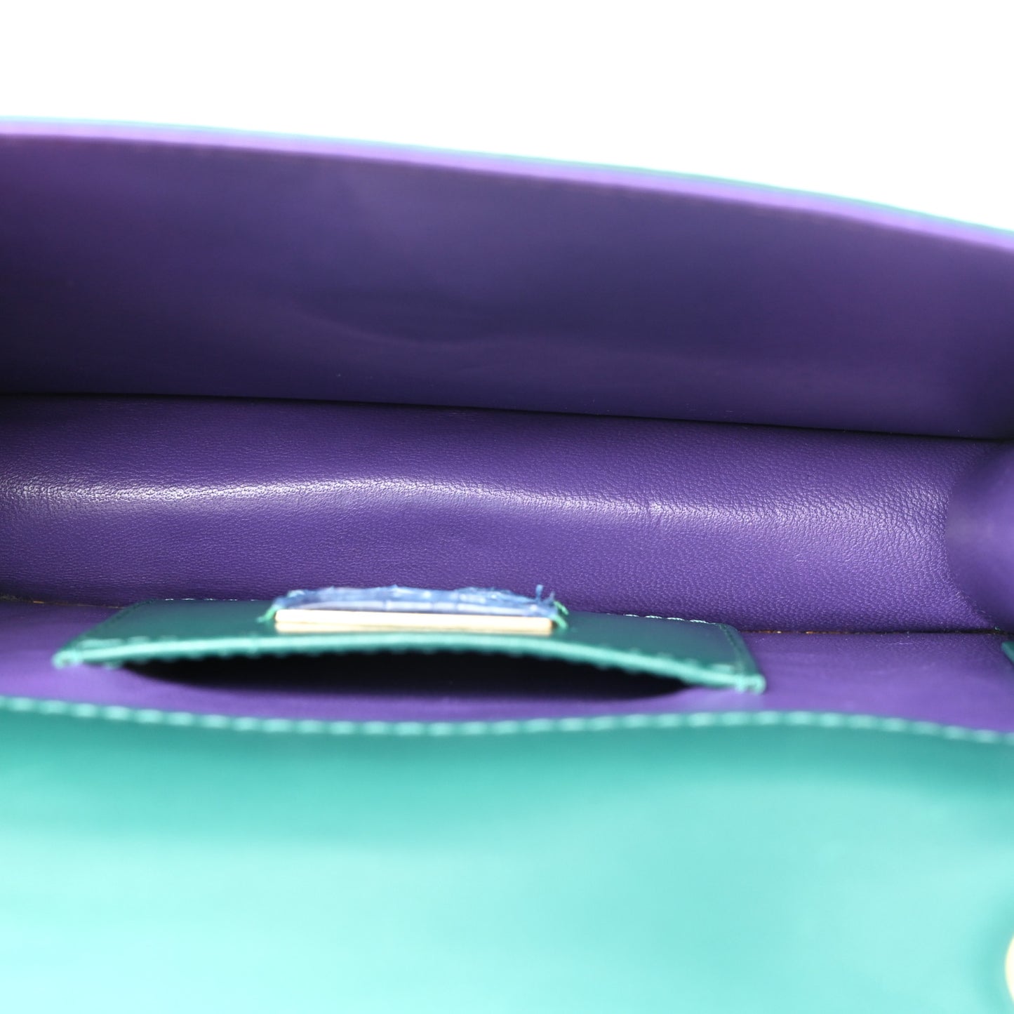 Galuchat Calfskin Serpenti Forever Crossbody Bag Green