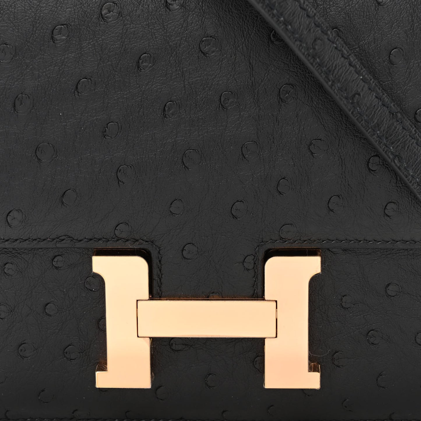 Ostrich Constance 18 Black
