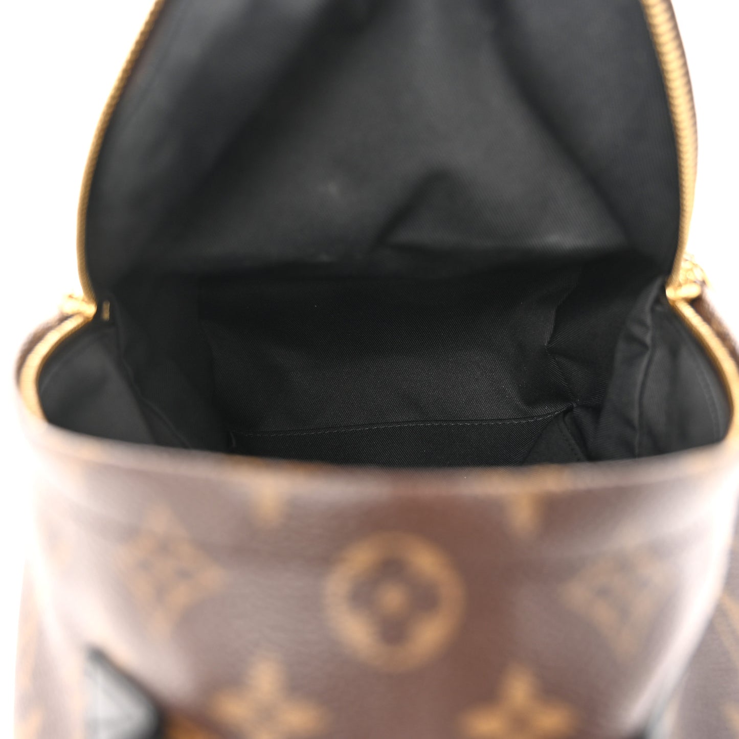 Monogram Palm Springs Backpack PM
