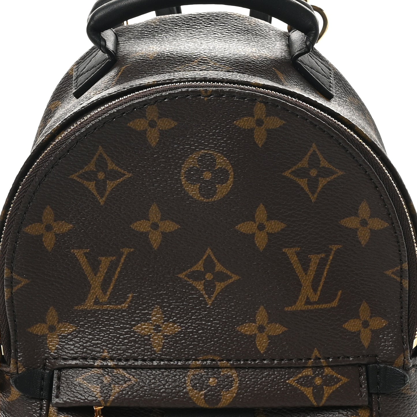 Monogram Palm Springs Backpack Mini