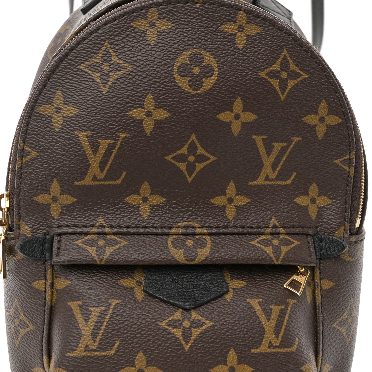 Monogram Palm Springs Backpack Mini