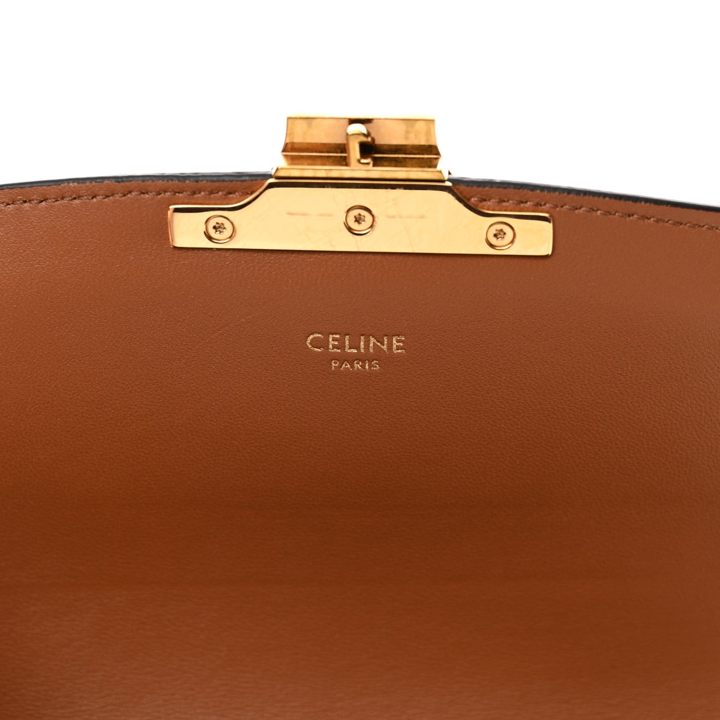 Calfskin Triomphe Canvas Teen Triomphe Bag Tan