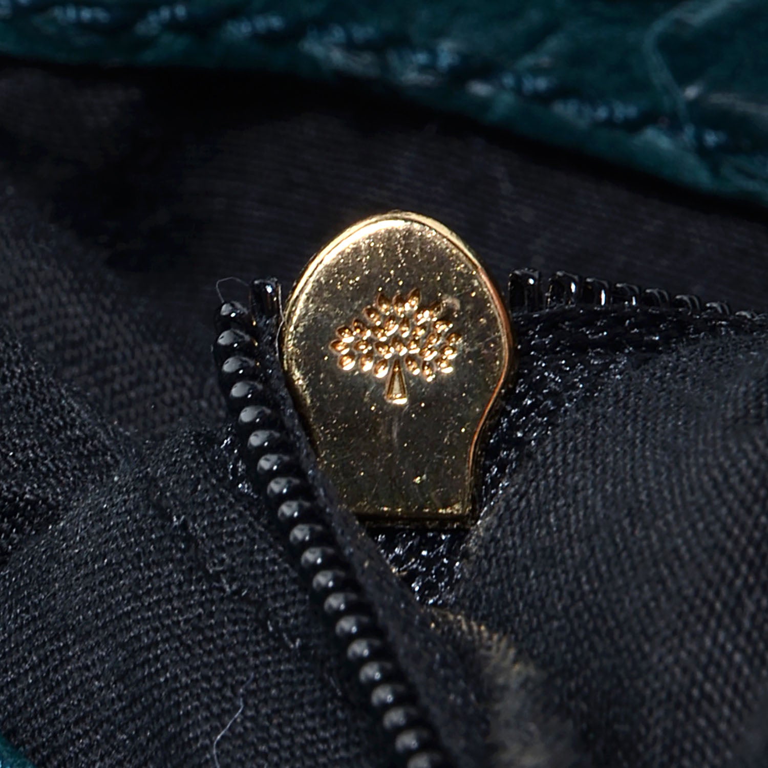 Mulberry Silky Snake Print Alexa Petrol 12 of 12
