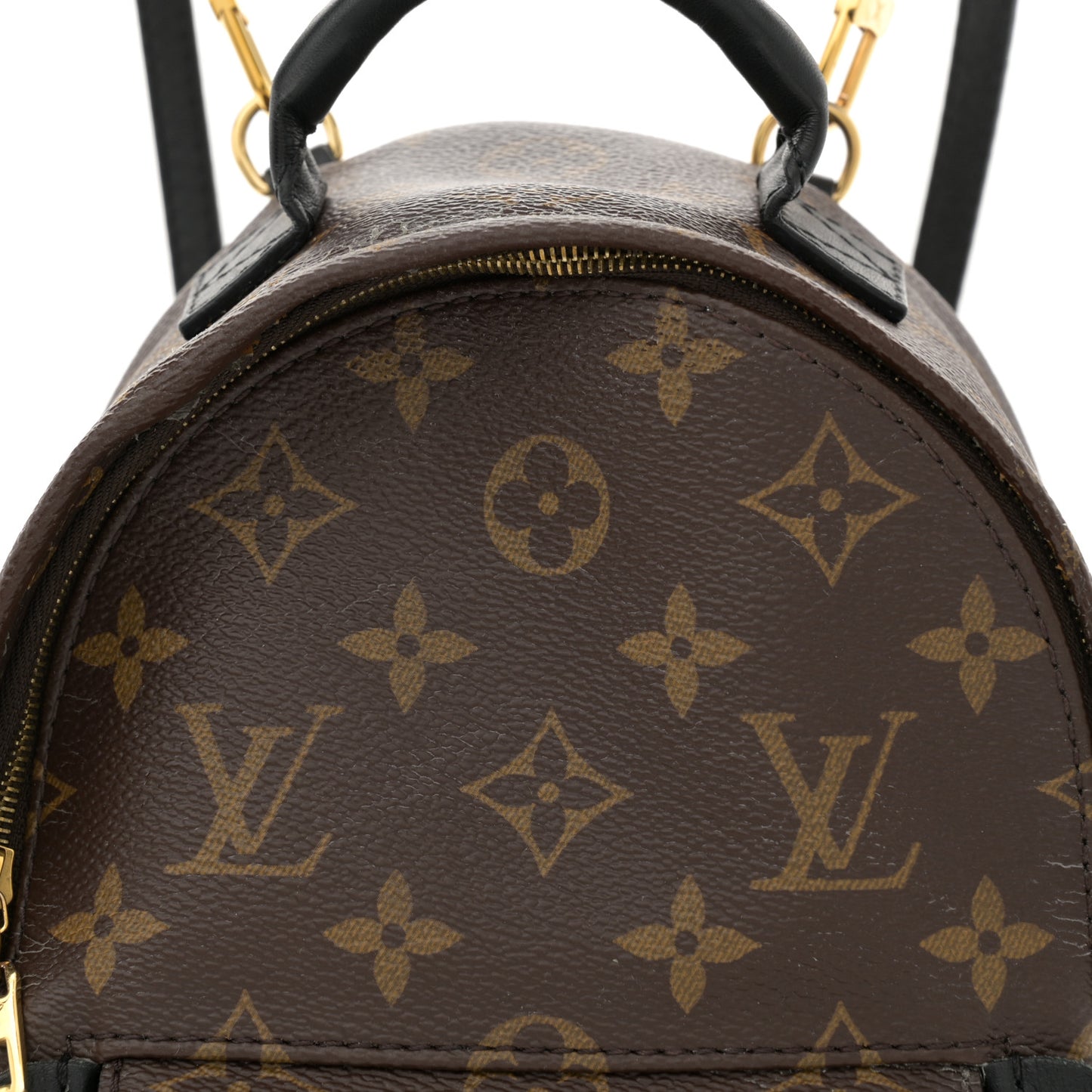 Monogram Palm Springs Backpack Mini