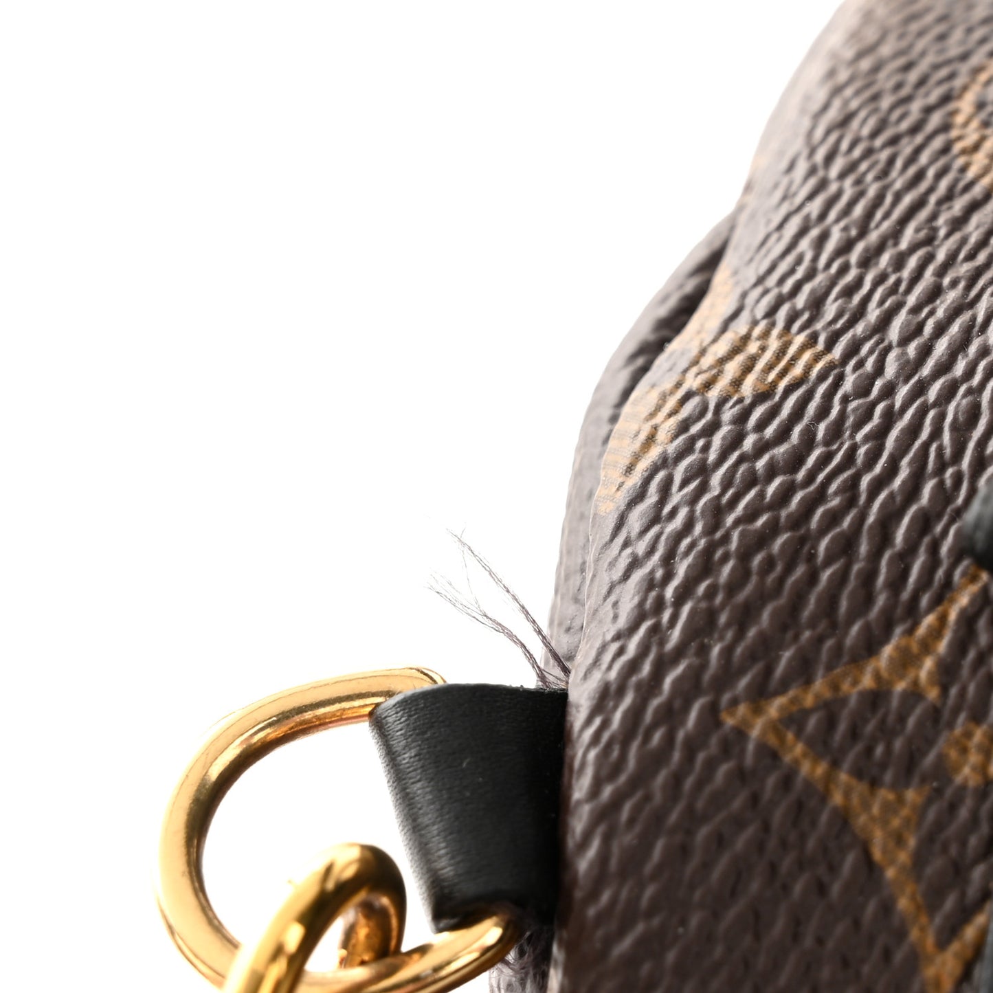 Monogram Palm Springs Backpack Mini