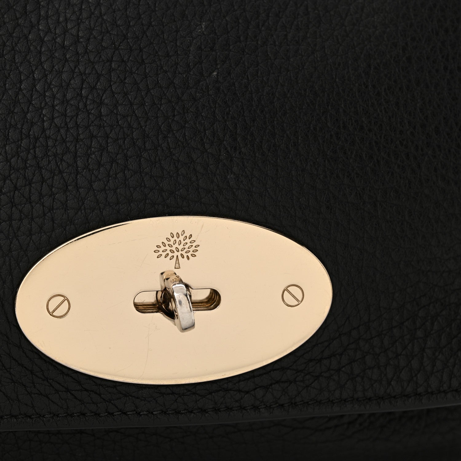 Mulberry Glossy Goatskin Small Lily Flap Black 15 of 16