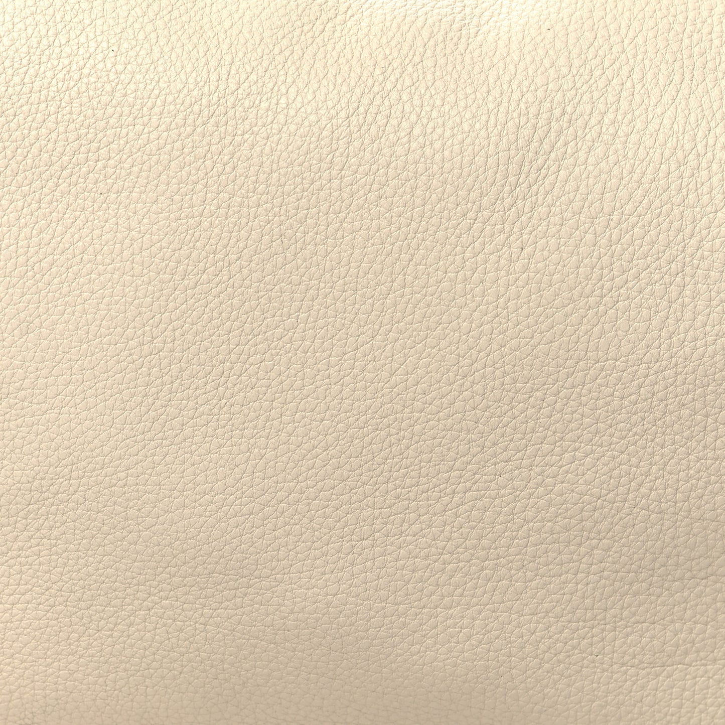 Grained Calfskin Medium Everyday Shoulder Bag Ivory