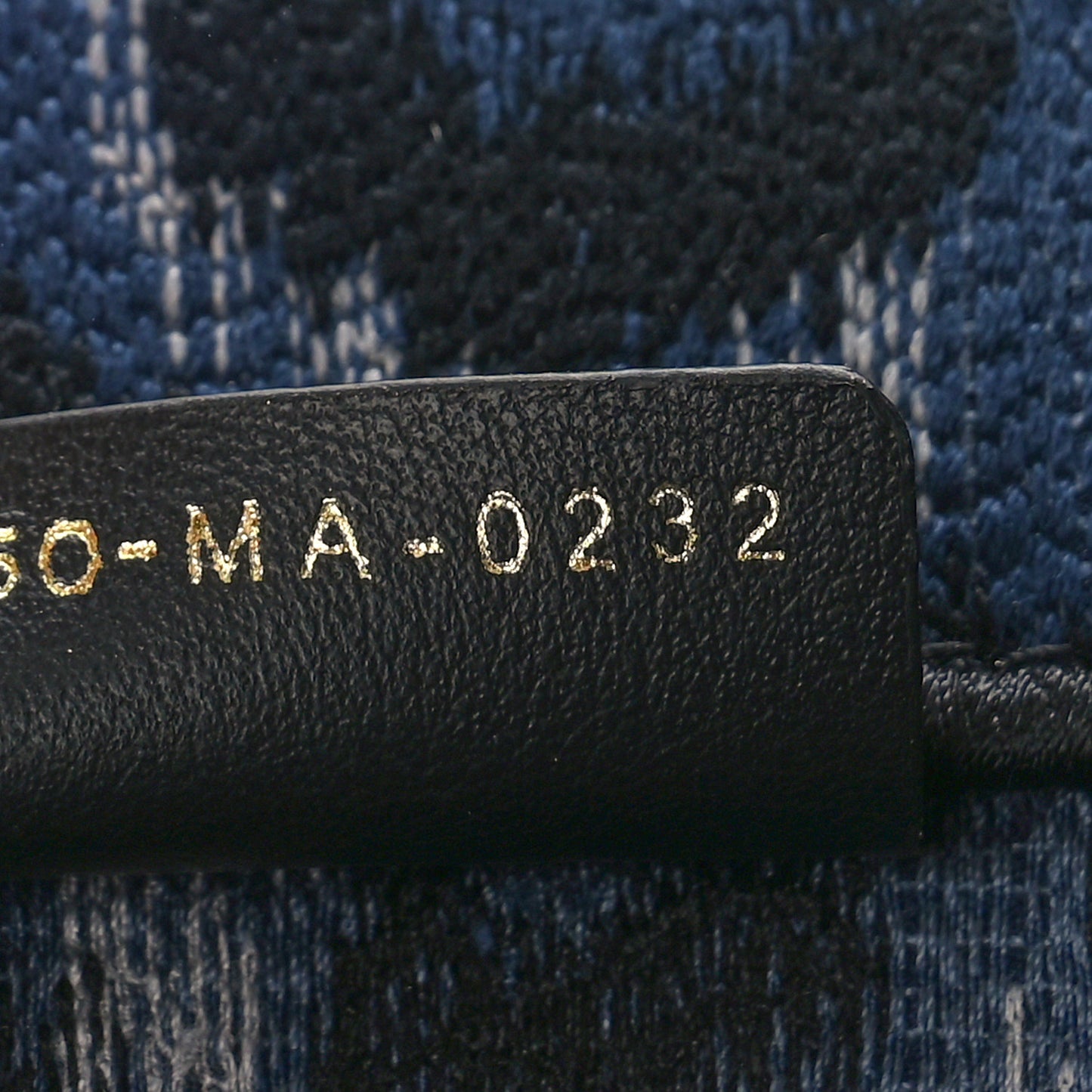 Canvas Mizza Embroidered Medium Leopard Book Tote Blue