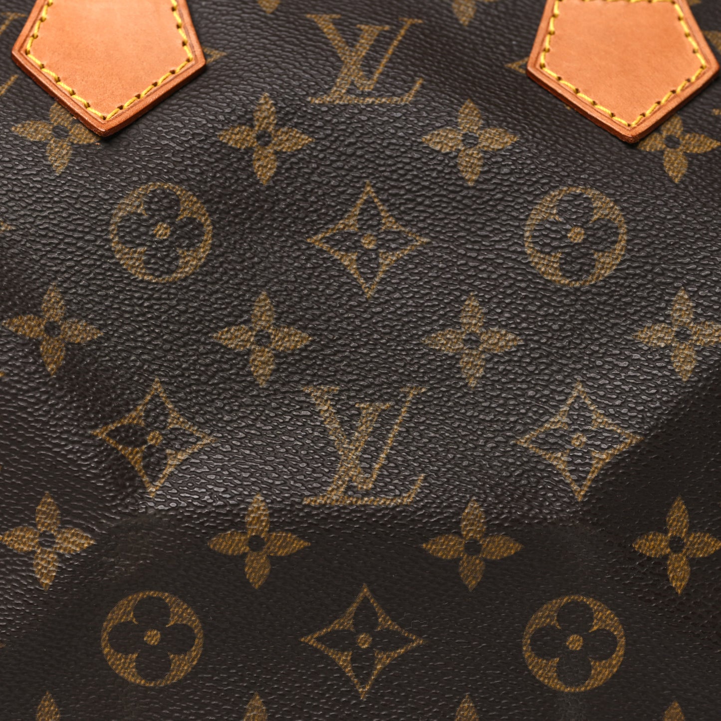 Monogram Speedy 25