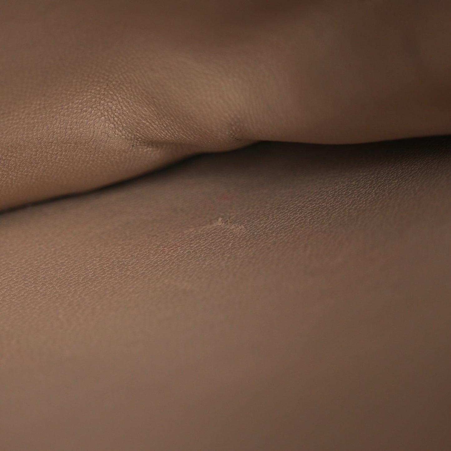 Shiny Calfskin Medium Triomphe Nude