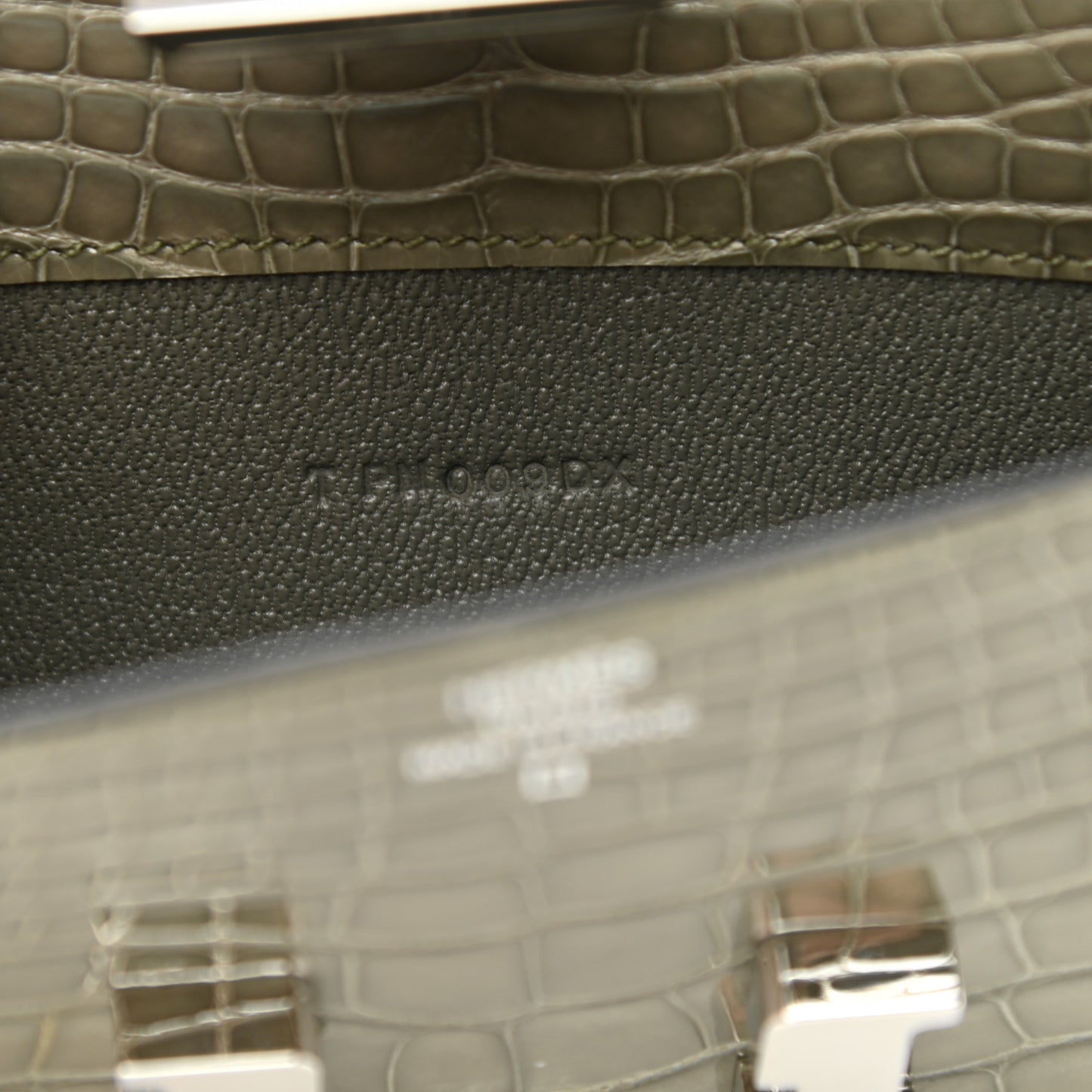 Shiny Alligator Constance Long Wallet Gris Tourterelle