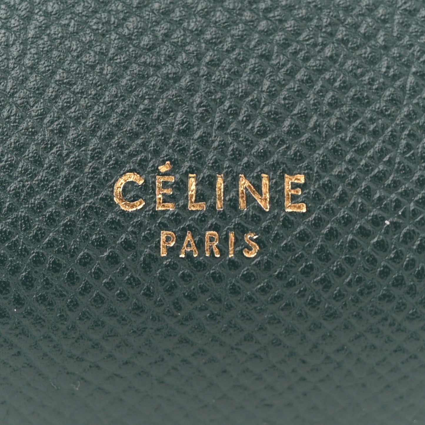 Grained Calfskin Micro Belt Bag Amazone