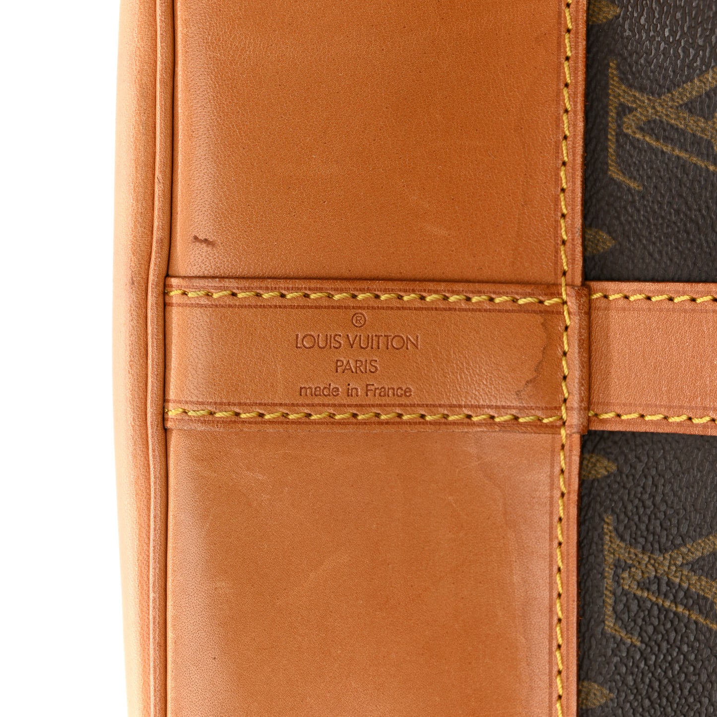 Monogram Randonnee GM Backpack