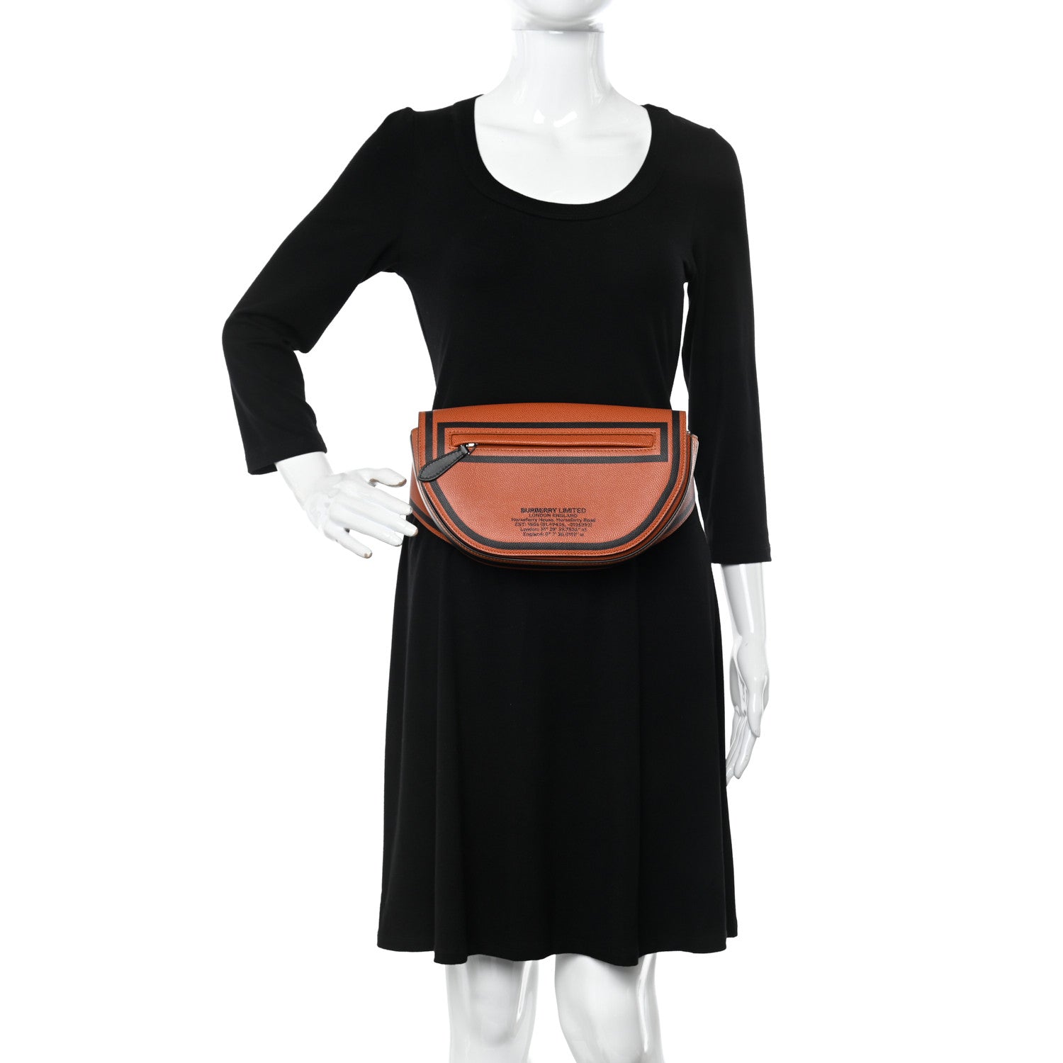 Burberry Calfskin Logo Small Olympia Bum Bag Earthy Orange 2 of 10
